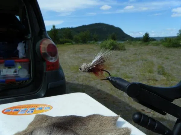 User submitted picture: Outdoor Fly Tying II: Str...